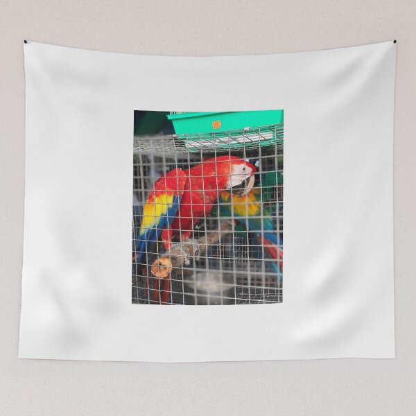 Item preview, Bird In A Cage By Patrice Simpson designed and sold by triciiwrites.