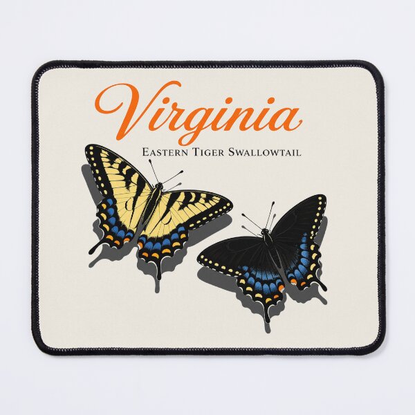 Item preview, Virginia Eastern Tiger Swallowtail Butterfly Poster designed and sold by The-Drip-Studio.