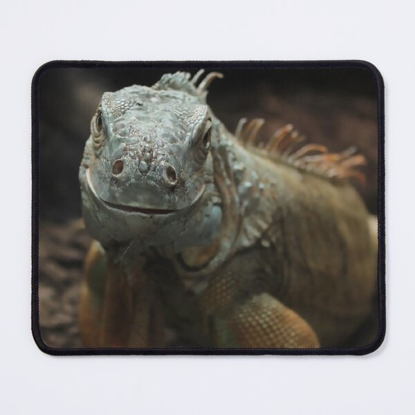Item preview, Majestic Green Iguana Portrait: Wildlife Reptile Art designed and sold by Apex_Visuals.