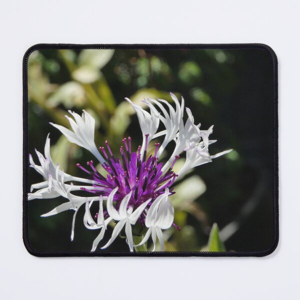 Item preview, Summer in a Purple Basket designed and sold by CymaticResonanceArt.