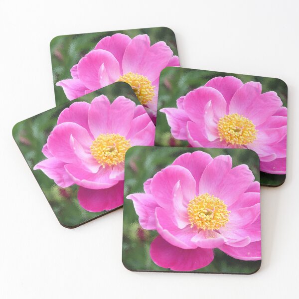 Item preview, Pink Chinese Peony designed and sold by BostonArcImage.