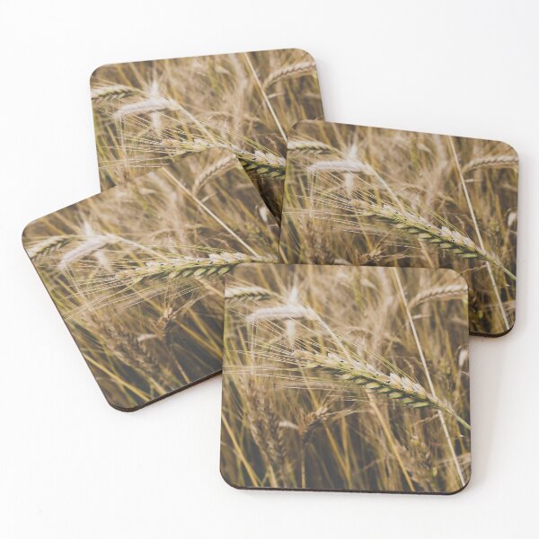 Item preview, Golden Wheat Field Macro: Rustic Farmhouse Wall Art designed and sold by Apex_Visuals.
