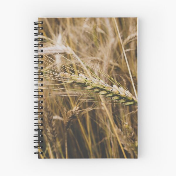 Item preview, Golden Wheat Field Macro: Rustic Farmhouse Wall Art designed and sold by Apex_Visuals.