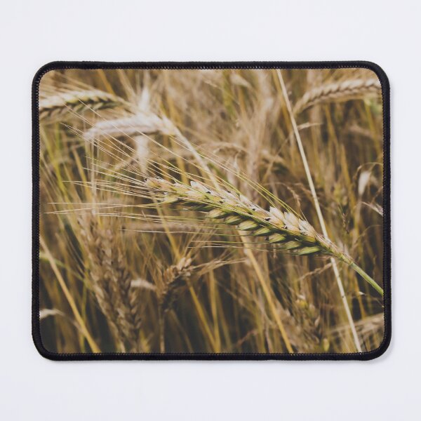 Item preview, Golden Wheat Field Macro: Rustic Farmhouse Wall Art designed and sold by Apex_Visuals.