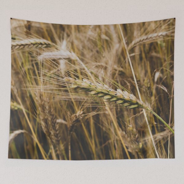Item preview, Golden Wheat Field Macro: Rustic Farmhouse Wall Art designed and sold by Apex_Visuals.