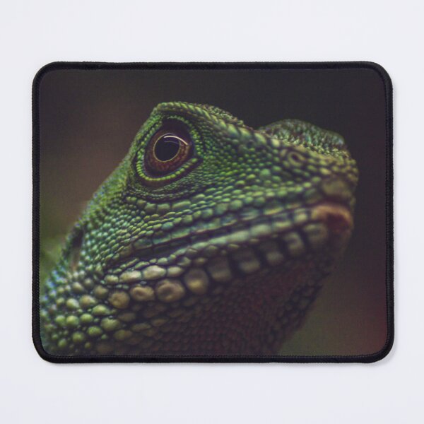 Item preview, Moody Green Water Dragon Portrait: Exotic Reptile Macro designed and sold by Apex_Visuals.