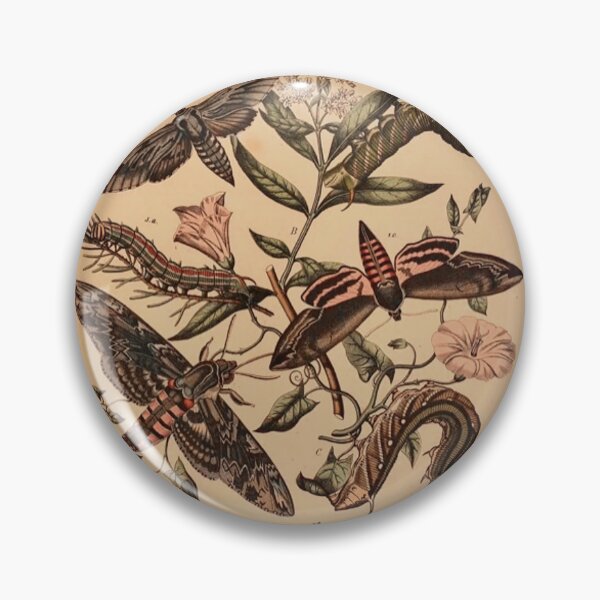 Item preview, Sphinx Moths designed and sold by Cyrus Moth.