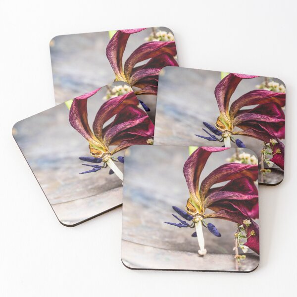 Item preview, Wilted Tulip in Soft Light designed and sold by MagnishArt.