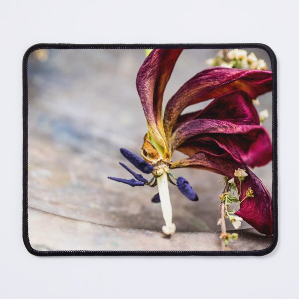 Item preview, Wilted Tulip in Soft Light designed and sold by MagnishArt.