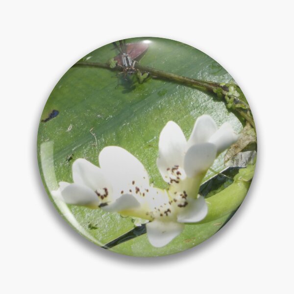 Item preview, Damselfly with Water Hawthorn designed and sold by CymaticResonanceArt.
