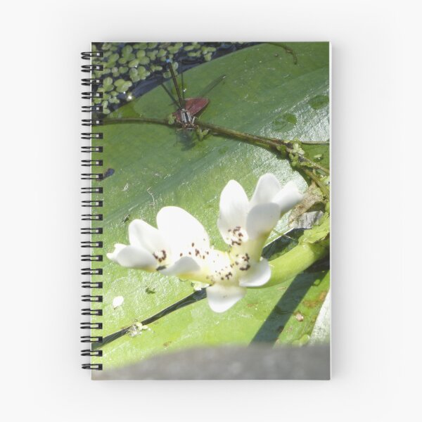 Item preview, Damselfly with Water Hawthorn designed and sold by CymaticResonanceArt.