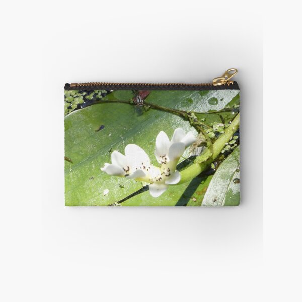 Item preview, Damselfly with Water Hawthorn designed and sold by CymaticResonanceArt.