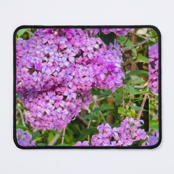 Item preview, Lilacs designed and sold by Bearbunz.