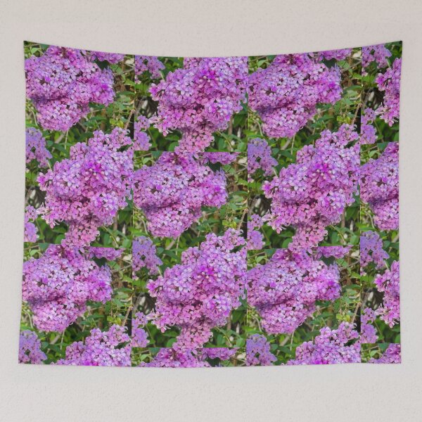Item preview, Lilacs designed and sold by Bearbunz.