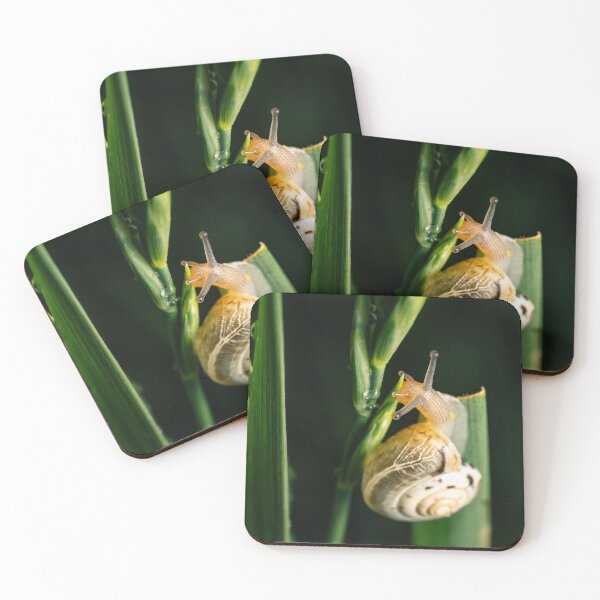 Item preview, Garden Snail in Motion — Macro Wildlife Portrait designed and sold by Rabee Khalil Photography.