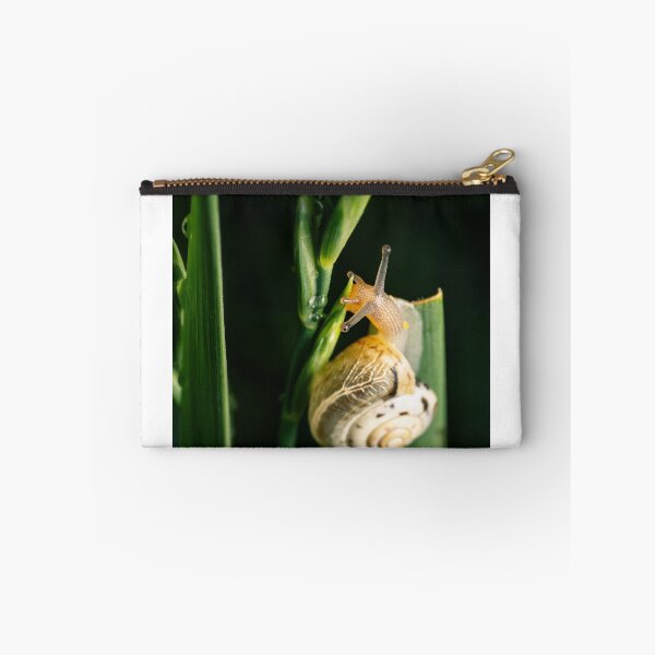 Item preview, Garden Snail in Motion — Macro Wildlife Portrait designed and sold by Rabee Khalil Photography.