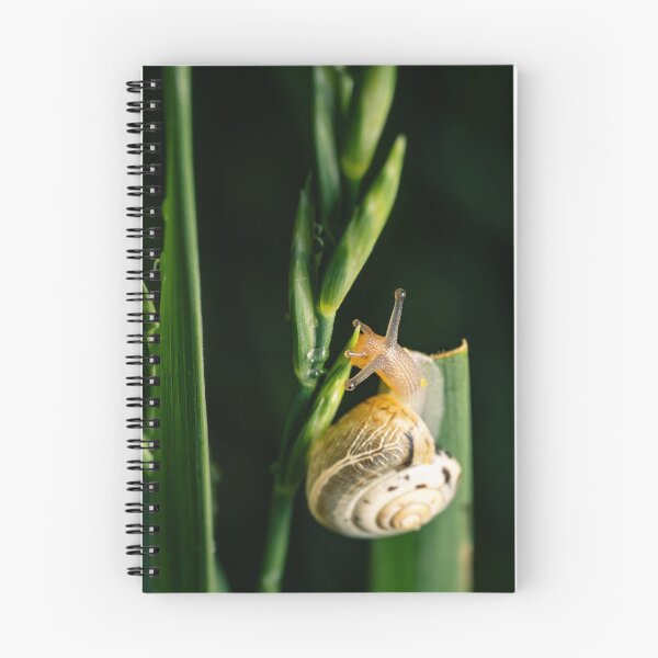 Item preview, Garden Snail in Motion — Macro Wildlife Portrait designed and sold by Rabee Khalil Photography.