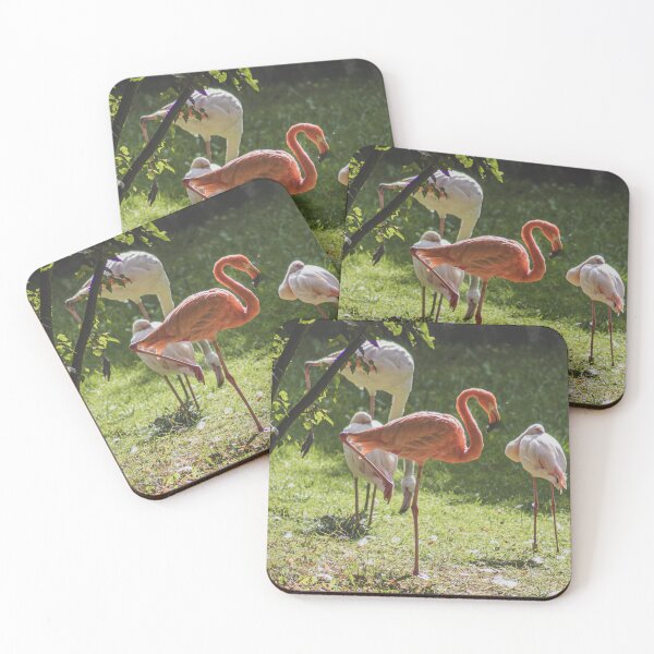 Item preview, Elegant Flamingos in Sunlit Garden: Wildlife Portrait designed and sold by Apex_Visuals.