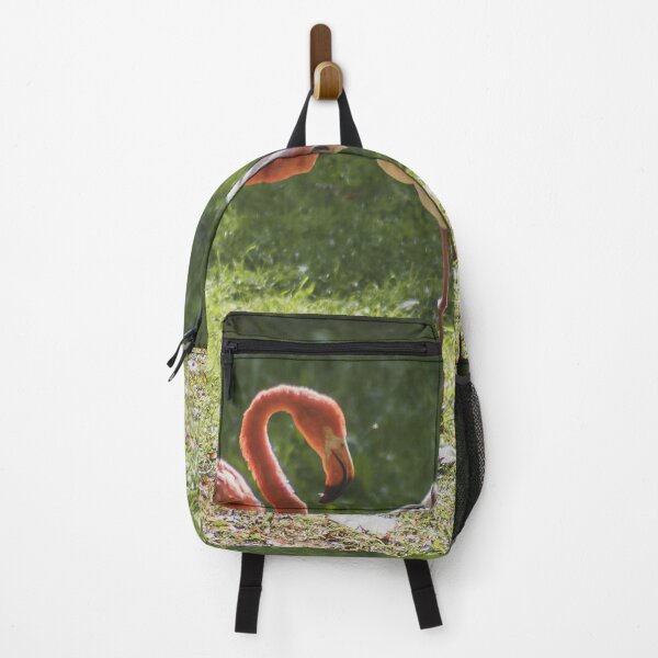 Item preview, Elegant Flamingos in Sunlit Garden: Wildlife Portrait designed and sold by Apex_Visuals.