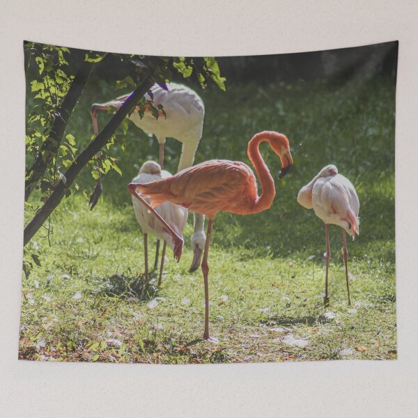 Item preview, Elegant Flamingos in Sunlit Garden: Wildlife Portrait designed and sold by Apex_Visuals.