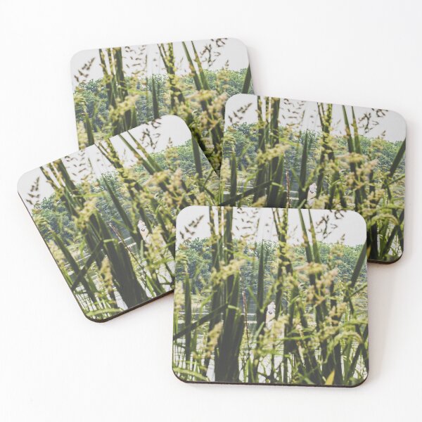 Item preview, Lake Serenity: Summer Nature View Through Reeds designed and sold by Apex_Visuals.