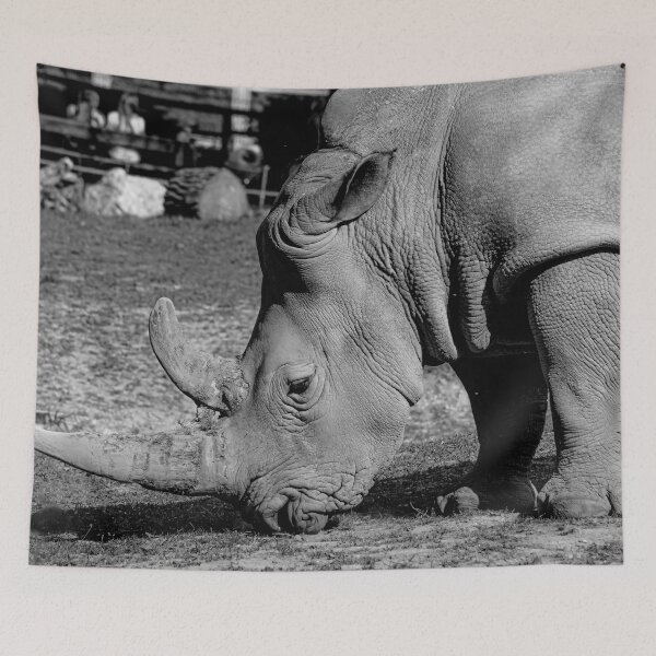 Item preview, Majestic Rhino Portrait: Black and White Wildlife Photography designed and sold by Apex_Visuals.