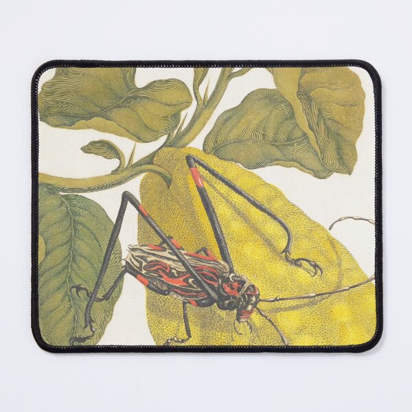 Item preview, FRUIT INSECT designed and sold by THE GOOD FIND.