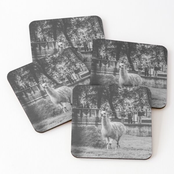 Item preview, Charming Llama Portrait: Black and White Zoo Photography designed and sold by Apex_Visuals.