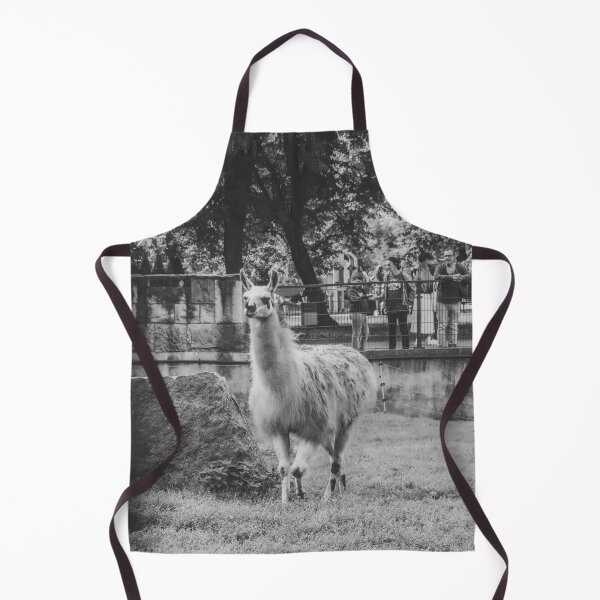 Item preview, Charming Llama Portrait: Black and White Zoo Photography designed and sold by Apex_Visuals.