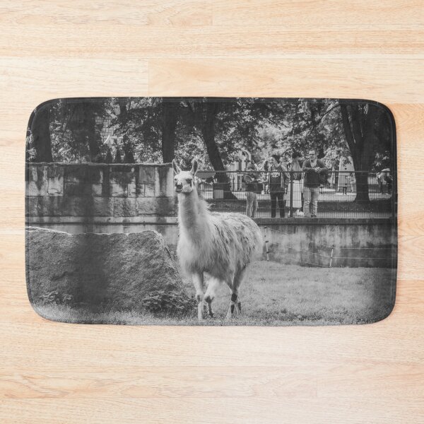 Item preview, Charming Llama Portrait: Black and White Zoo Photography designed and sold by Apex_Visuals.
