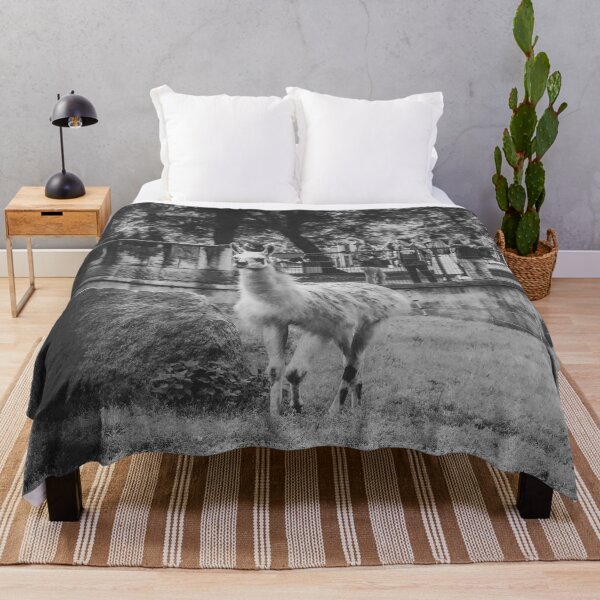 Item preview, Charming Llama Portrait: Black and White Zoo Photography designed and sold by Apex_Visuals.
