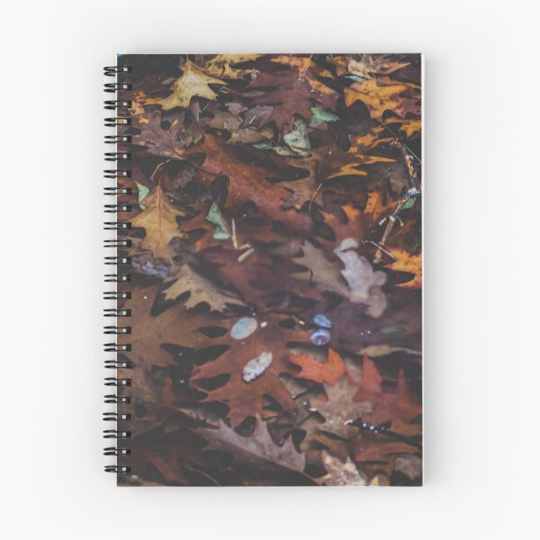 Item preview, Golden Autumn Leaves Floating on Water designed and sold by Apex_Visuals.