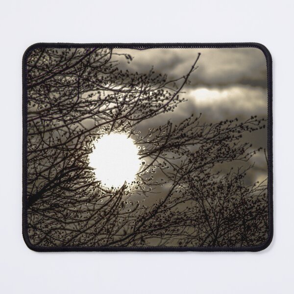 Item preview, Radiant Silhouette: Sun Shining Through Winter Branches designed and sold by Apex_Visuals.