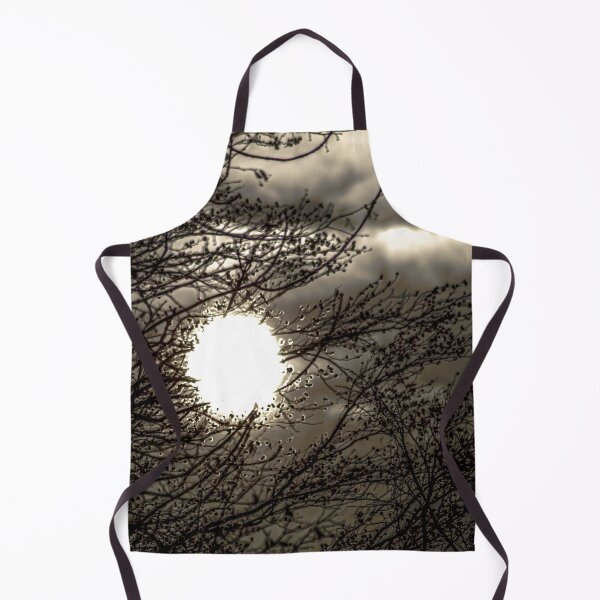 Item preview, Radiant Silhouette: Sun Shining Through Winter Branches designed and sold by Apex_Visuals.
