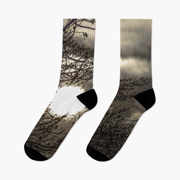 Item preview, Radiant Silhouette: Sun Shining Through Winter Branches designed and sold by Apex_Visuals.