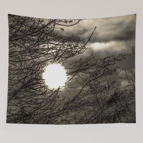 Item preview, Radiant Silhouette: Sun Shining Through Winter Branches designed and sold by Apex_Visuals.