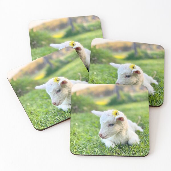 Item preview, Baby Goat with Daisy designed and sold by CritterCapers.