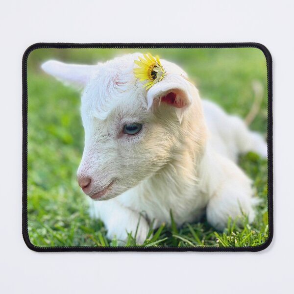 Item preview, Baby Goat with Daisy designed and sold by CritterCapers.