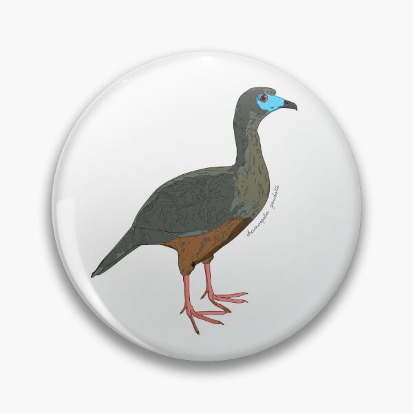 Item preview, Sickle-winged guan designed and sold by flor-de-papel.