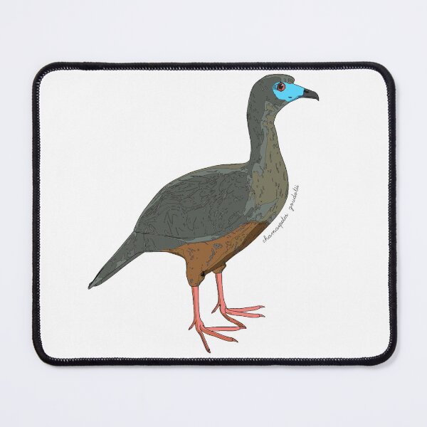 Item preview, Sickle-winged guan designed and sold by flor-de-papel.