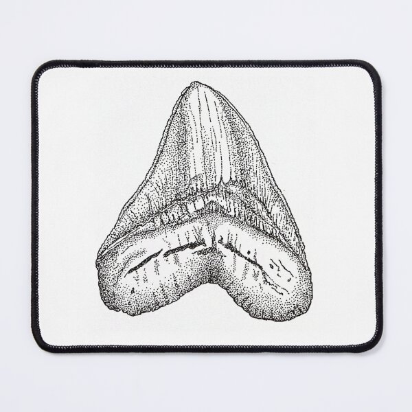 Item preview, Science Illustrated Megalodon Tooth designed and sold by myriaperez.