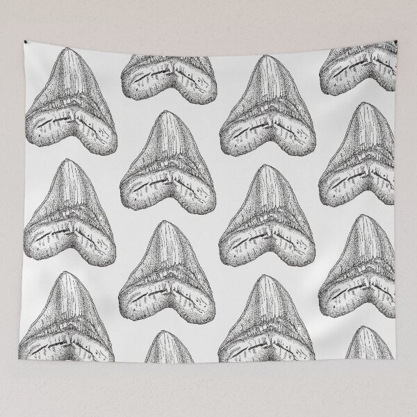 Item preview, Science Illustrated Megalodon Tooth designed and sold by myriaperez.