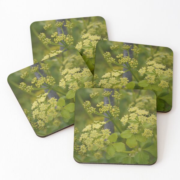 Item preview, Beautiful Parsnip flowers designed and sold by Yushi7.
