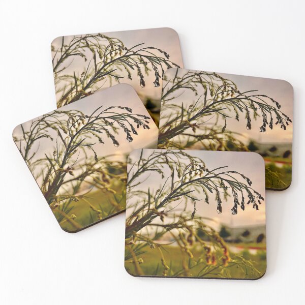 Item preview, After the storm designed and sold by Baulmonart.