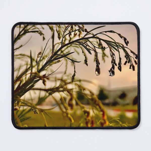 Item preview, After the storm designed and sold by Baulmonart.