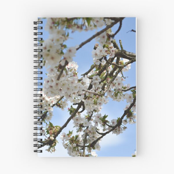 Item preview, Early Cherry Blossoms designed and sold by Yushi7.