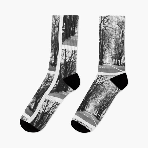 Item preview, Tree-Lined Street designed and sold by Macdonnellk.