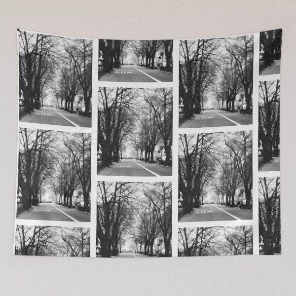 Item preview, Tree-Lined Street designed and sold by Macdonnellk.