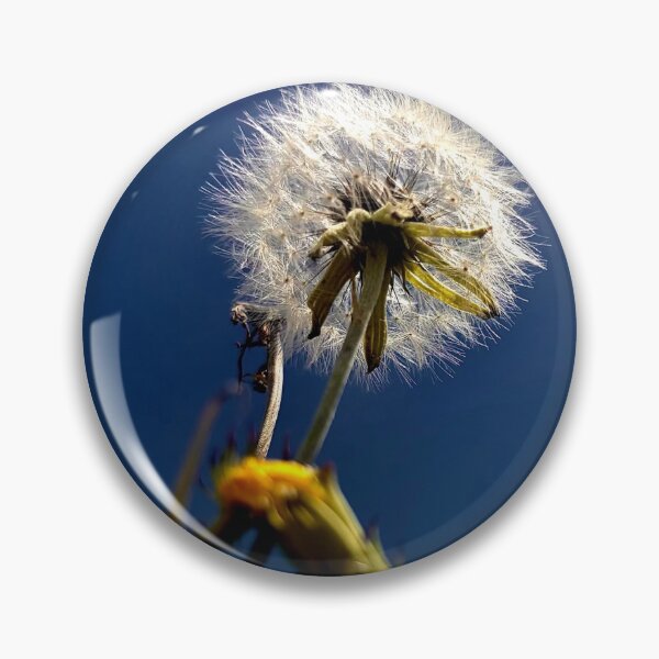 Item preview, Life Cycle designed and sold by Baulmonart.