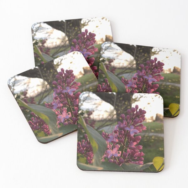 Item preview, Lilac Bush During Sunset designed and sold by SteeleChampagne.